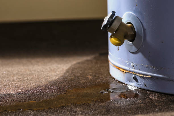 Best Local water damage restoration  in New Windsor, MD