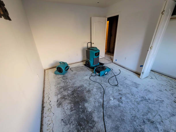 Best Residential water damage restoration  in New Windsor, MD