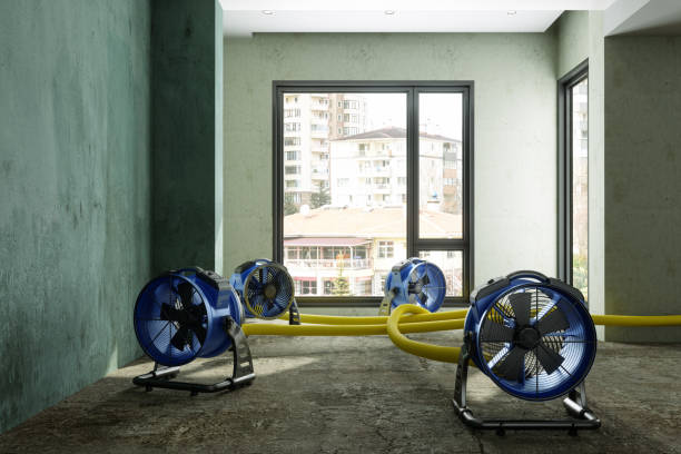 Best Emergency water damage restoration  in New Windsor, MD